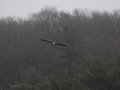 dsc00654