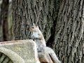 DSC04948