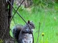 DSC05038