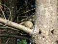 DSC08365