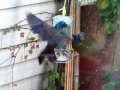 DSC02318