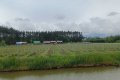 IMG20260516145350