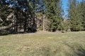 sdr