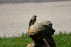DSC02915
