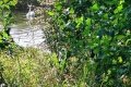 IMG20240915131730
