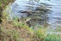 IMG20240915142819
