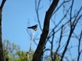 DSC07406