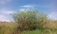 IMG_20180501_135554a