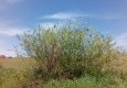IMG_20180501_135554a