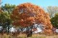 DSCN8460