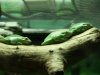 img_6467s