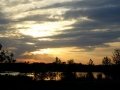 DSC07466