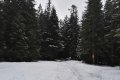 sdr