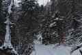 sdr