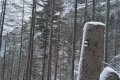 sdr
