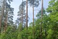 IMG20260517102014