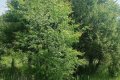 IMG20260517105334