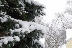 DSC04751
