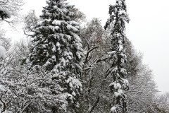 DSC04768