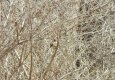 DSCN1566