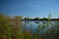 D85_1567a
