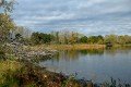 D85_1571a