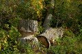D85_1574a