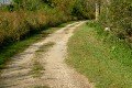 D85_1576a