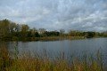 D85_1577a