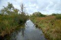 D85_1579a