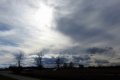 DSCN2854