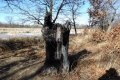 DSCN8975