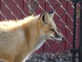 dsc07056