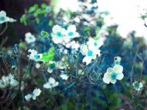 0049