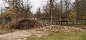 Są i ziemniaki;-)