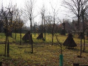 Latem tu musi być naprawdę niesamowicie!